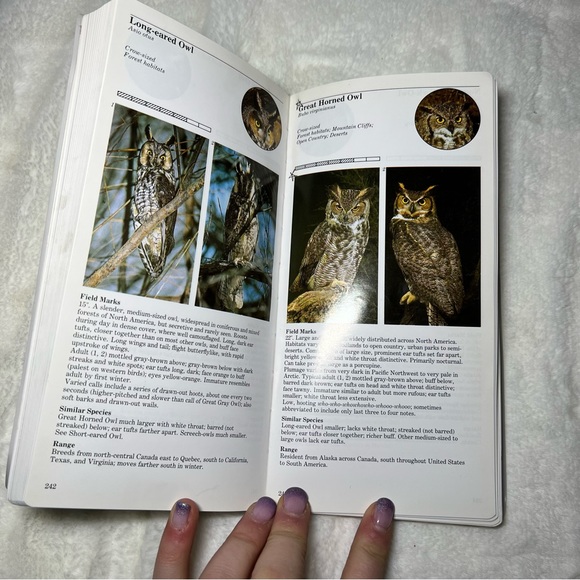 Audubon Society Field Guide to - Night Sky, Mammals, & handbook of Western Birds - Picture 16 of 16